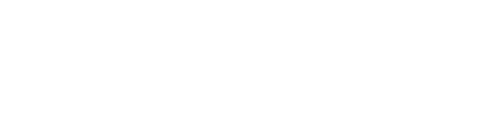 stenv